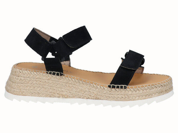 1864 Vitelo Negro_1.jpg