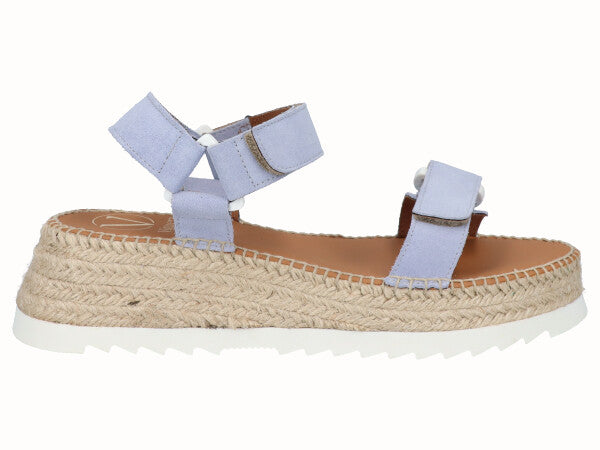 1864 Vitelo Violeta_1.jpg