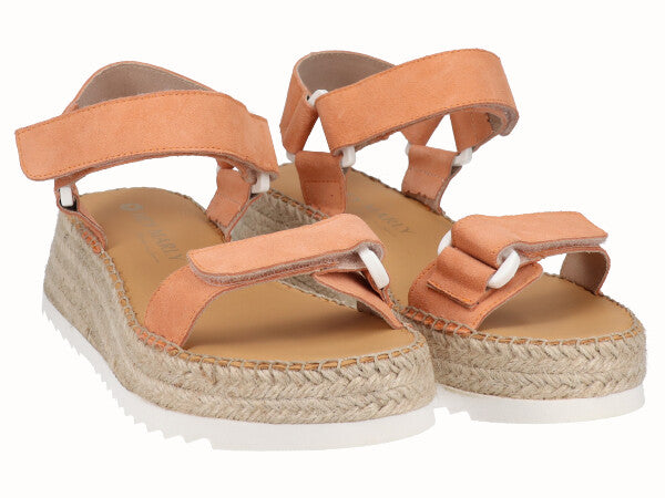 1864 Vitelo Zucca_2.jpg