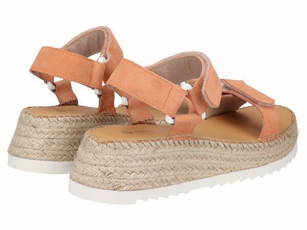 1864 Vitelo Zucca_3.jpg