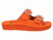 2177 Vitelo Naranja by Cristina Cerqueiras_1.jpg