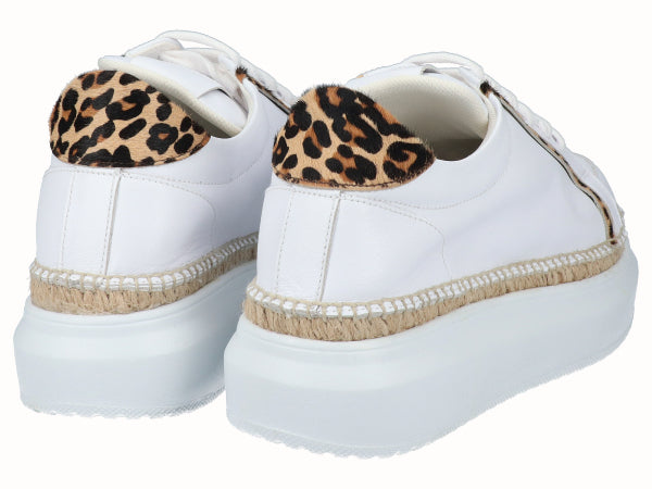 2277 Leopardo_3.jpg