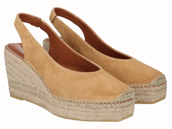 2341 Vitelo Camello_2.jpg