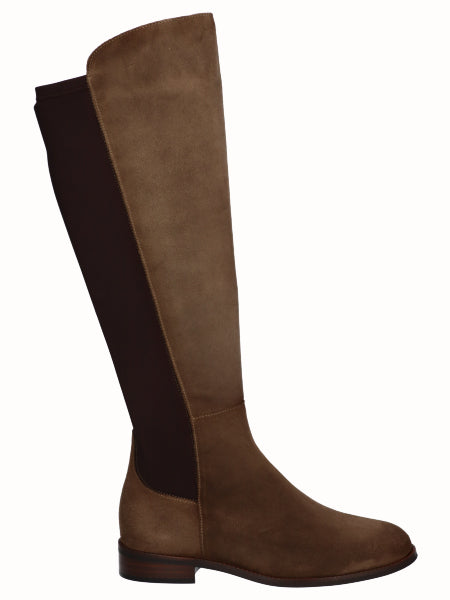 8076 Vitelo Sander_1.jpg