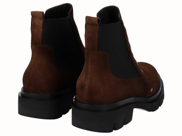 8413 Vitelo Testa_3.jpg