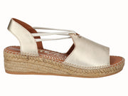 2196 Elista Sahara_1.jpg