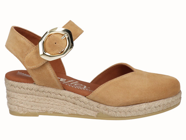 2319 Vitelo Camello_1.jpg