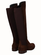 8076 Vitelo TEsta_3.jpg