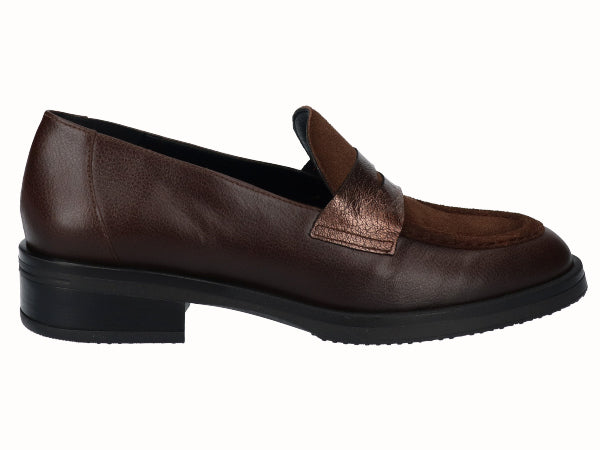 8381 Combi Casta�o_1.jpg